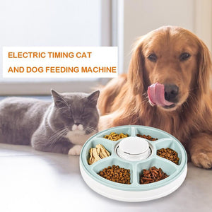 Healthy Pet Simply Feed Automatic Cat and Dog Feeder - JETHNICO