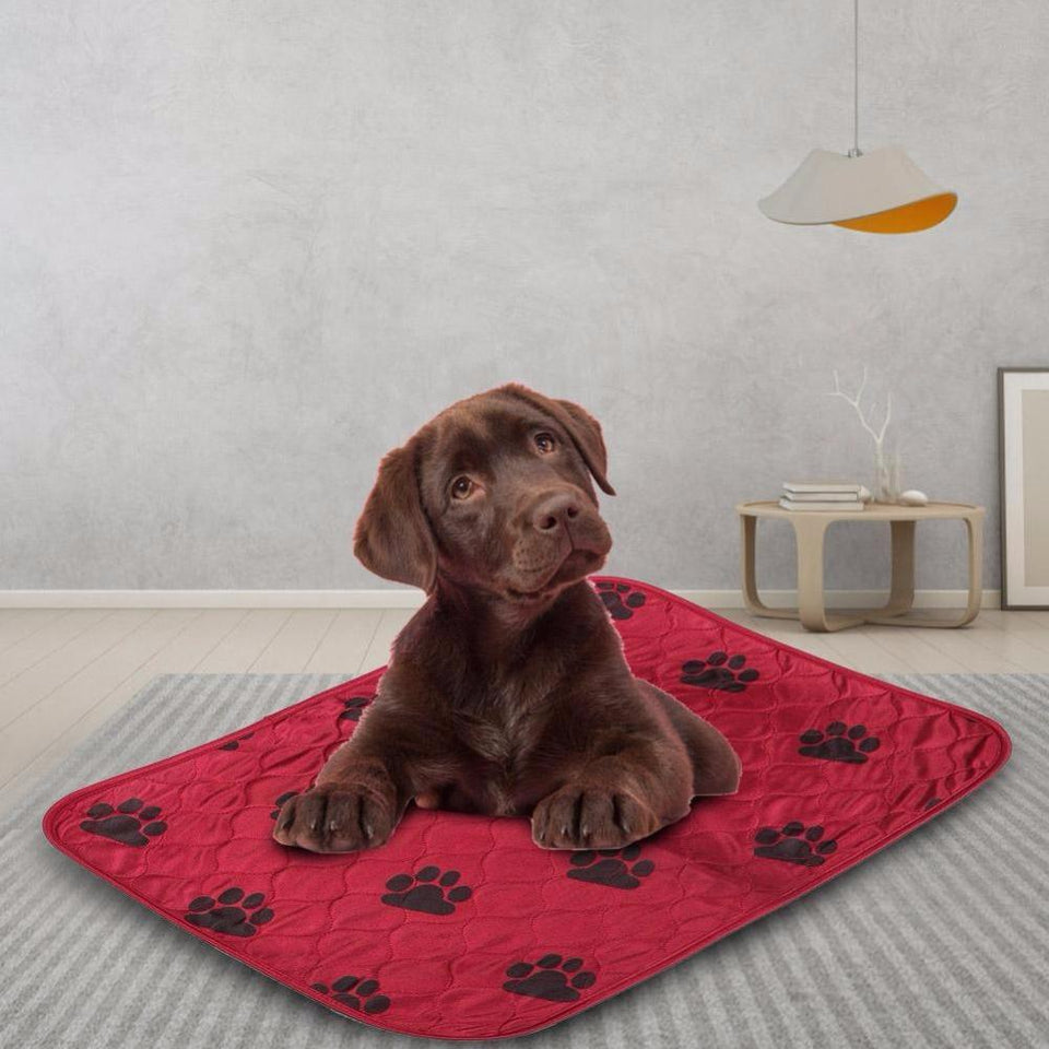 Reusable Dog Pee Mat - JETHNICO