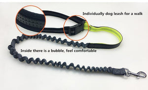 Hands Free Dog Leash - JETHNICO