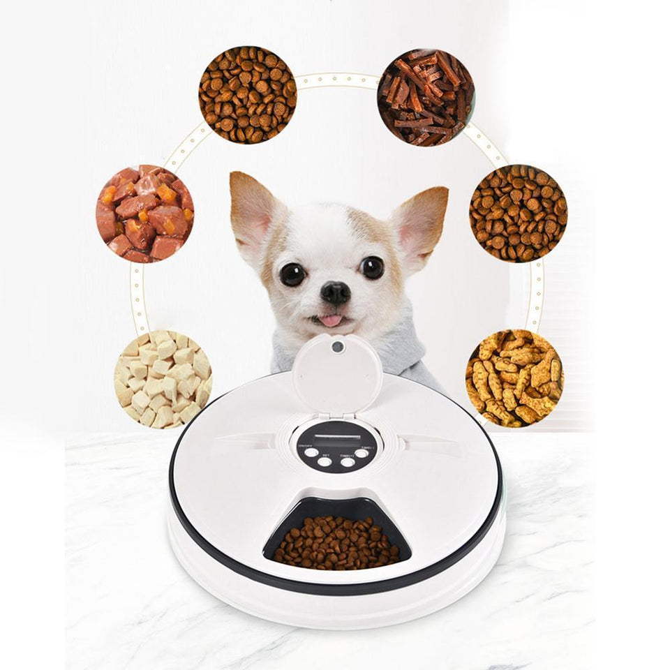 Healthy Pet Simply Feed Automatic Cat and Dog Feeder - JETHNICO