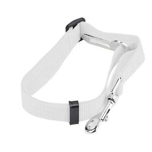 Pet Car Seat Belt - JETHNICO