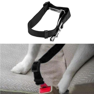 Pet Car Seat Belt - JETHNICO