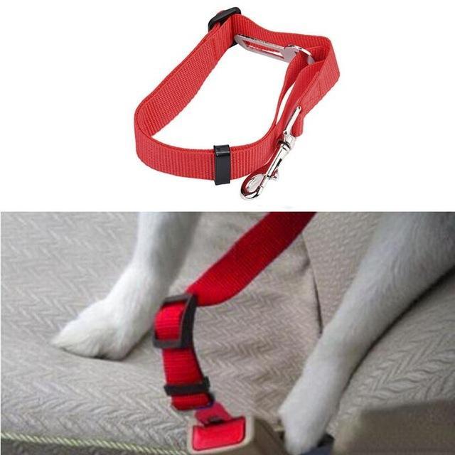 Pet Car Seat Belt - JETHNICO