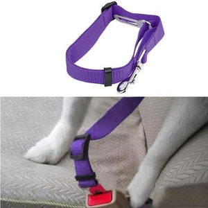 Pet Car Seat Belt - JETHNICO