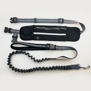 Hands Free Dog Leash - JETHNICO