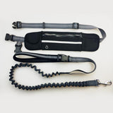 Hands Free Dog Leash - JETHNICO