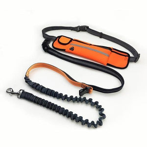 Hands Free Dog Leash - JETHNICO