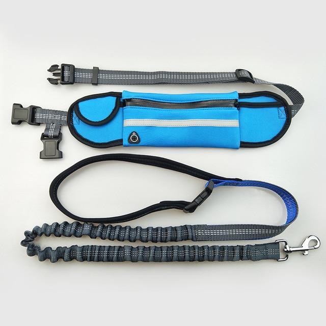 Hands Free Dog Leash - JETHNICO